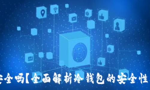   
TP冷钱包安全吗？全面解析冷钱包的安全性与使用指南