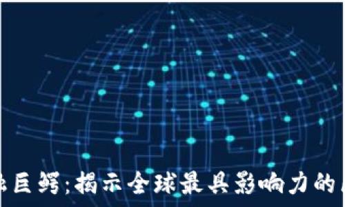   
区块链金融巨鳄：揭示全球最具影响力的区块链领袖