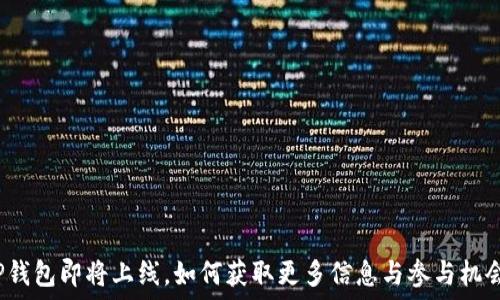   
tP钱包即将上线，如何获取更多信息与参与机会？